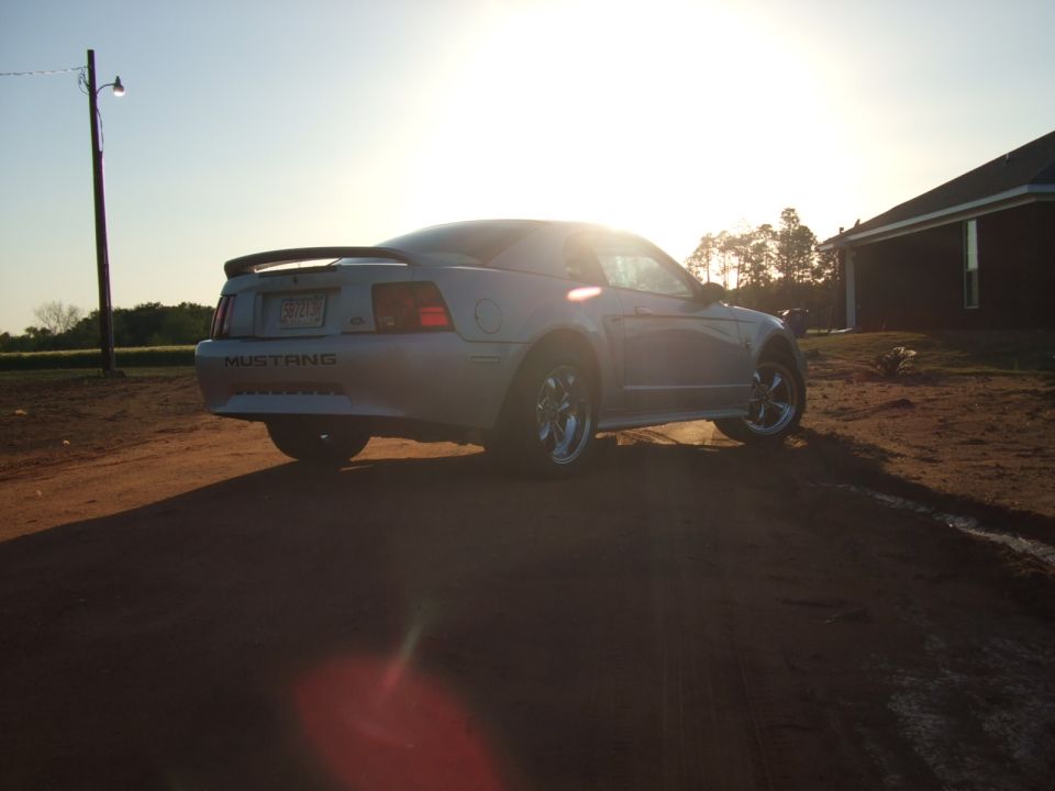 Silver 1999 Ford Mustang coupe parked on dirt road, rear view