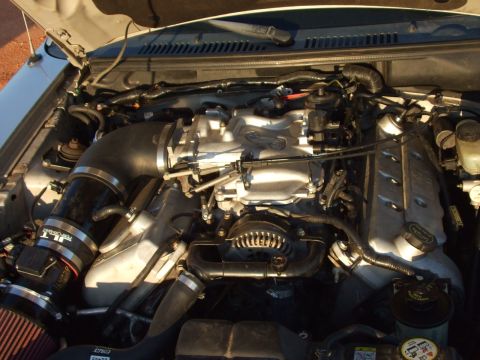 1999 Ford Mustang - Engine bay of a 1999 Ford Mustang an aftermarket JLT Performance cold air intake system.