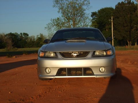 1999 Ford Mustang - Front view of a silver 1999 Ford Mustang parked on a dirt road with trees in the background.