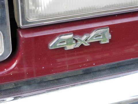 1991 Ford F-150 - The chrome 4x4 badge is clearly visible on the vehicle's body panel.
