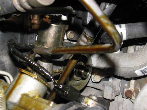 2003 Mercury Marauder - Close-up view of engine oil filter housing and associated lines, showing oil residue.