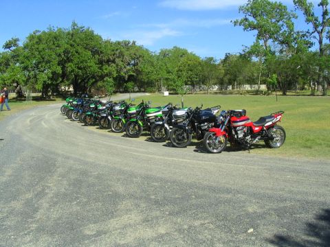 1981 Kawasaki Bayou - 16 rexes all in a row. Thanks for your patience Kelly