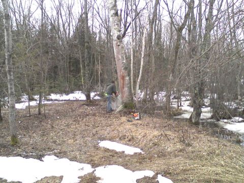 2000 Chevrolet Tahoe - Man operates a chainsaw on a tree in a forest clearing with snow on the ground.