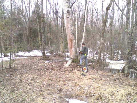 2000 Chevrolet Tahoe - A person operates a chainsaw near a tree in a snowy, wooded environment.