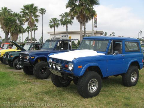 1968 Ford Mustang - Several Ford Broncos are parked in a line on a grassy field under palm trees.