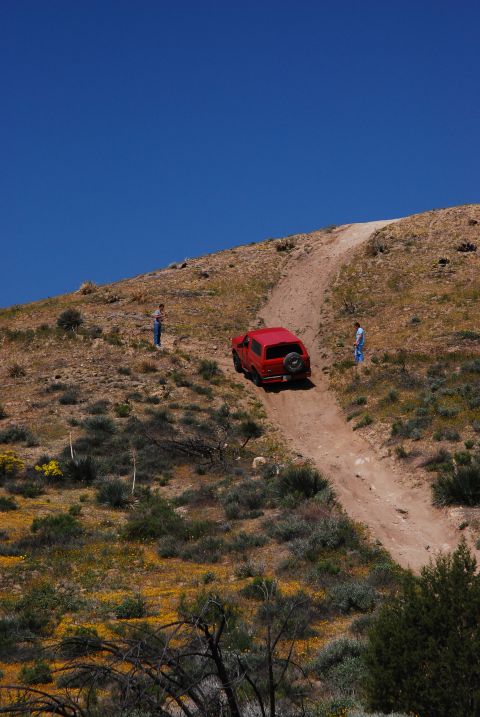 1995 Ford Bronco - A red SUV navigates a dusty trail through a dry, hilly landscape dotted with wildflowers.