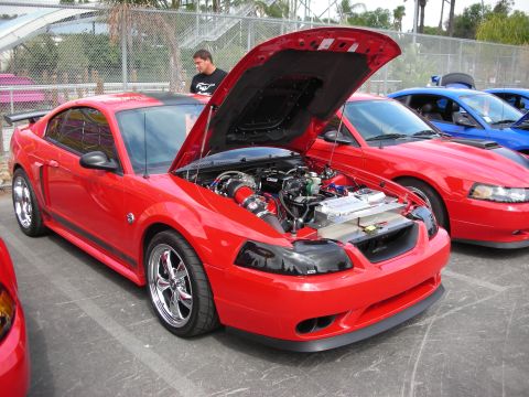 1992 Ford Crown Victoria - A red 2000 Ford Mustang is displayed with its hood open, revealing the engine bay and custom modifications.