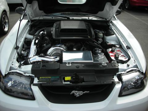 1992 Ford Crown Victoria - The engine bay of a white Ford Mustang, likely from the early 2000s, is displayed with custom chrome and performance parts.