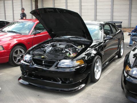 1992 Ford Crown Victoria - A black Ford Mustang is displayed with its hood open, revealing the engine bay and aftermarket modifications.