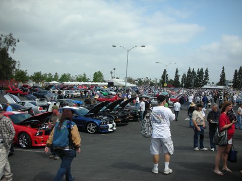 1992 Ford Crown Victoria - Many Ford Mustangs are on display at an outdoor event, with spectators milling about.