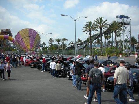 1992 Ford Crown Victoria - A car show displays multiple Ford Mustangs with their hoods open, set against a backdrop of a water park.