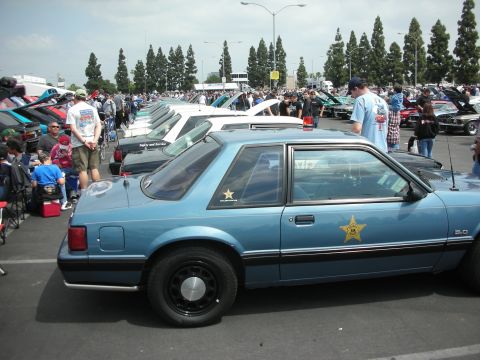 1992 Ford Crown Victoria - A blue police car with a star emblem on the door is parked at an outdoor car show event.