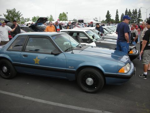 1992 Ford Crown Victoria - A blue police car is parked at an outdoor car show, with other vehicles and people in the background.