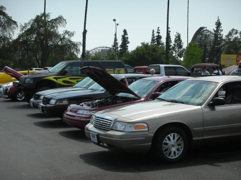 1992 Ford Crown Victoria - Several cars, including a 1992 Ford Crown Victoria, are parked with their hoods open at an outdoor event.