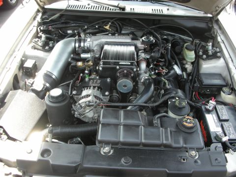 1992 Ford Crown Victoria - Customized engine bay a supercharger and various aftermarket parts.