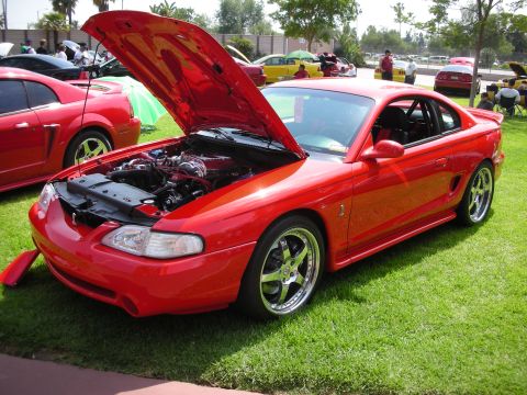 1992 Ford Crown Victoria - A red Ford Mustang is displayed with its hood open at an outdoor car show, revealing the engine compartment.