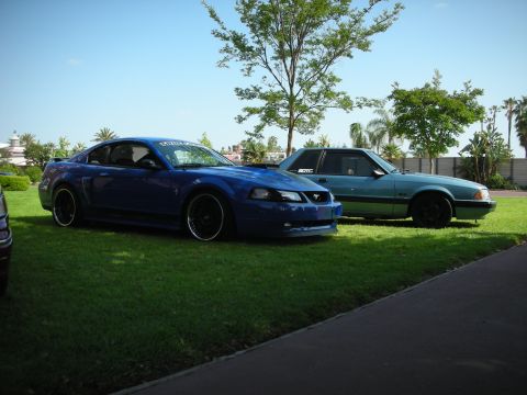 1992 Ford Crown Victoria - Two Ford Mustangs, a teal 1992 model and a blue later model, are parked on a grassy lawn under a clear blue sky.