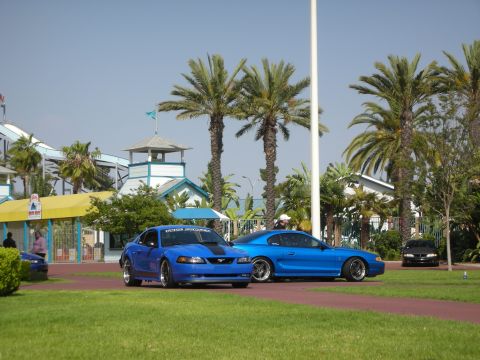 1992 Ford Crown Victoria - Two blue Ford Mustangs and a black car are parked at an outdoor venue with palm trees.
