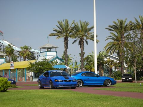 1992 Ford Crown Victoria - Two blue Ford Mustangs are parked at a water park with a roller coaster and palm trees in the background.