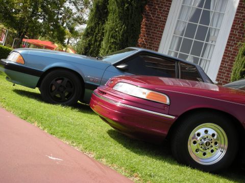 1992 Ford Crown Victoria - Two Ford vehicles, a Crown Victoria and a Mustang, are parked side-by-side on a grassy lawn.