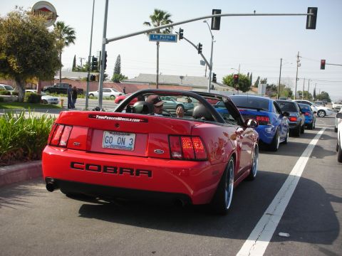 1992 Ford Crown Victoria - A red convertible Mustang Cobra is seen in traffic, with other vehicles behind it.
