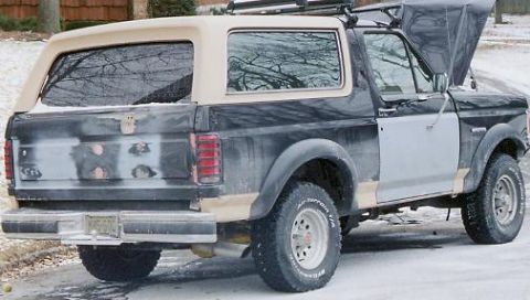 1990 Ford Bronco - Pic of my passenger side and tailgate