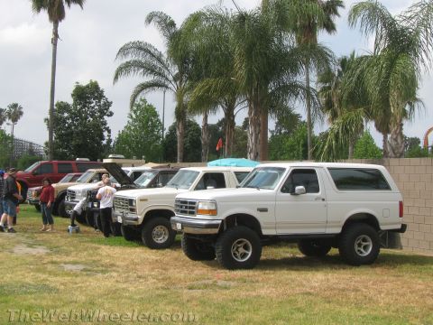 1968 Ford Mustang - A line of trucks and SUVs are parked on a grassy field, with palm trees in the background.