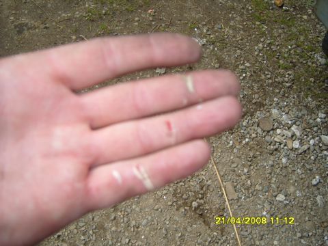 1989 Ford Bronco - Close-up of an open hand held over gravel and dirt ground, showing small cuts and calluses on the fingers; no vehicle or vehicle part is vi…