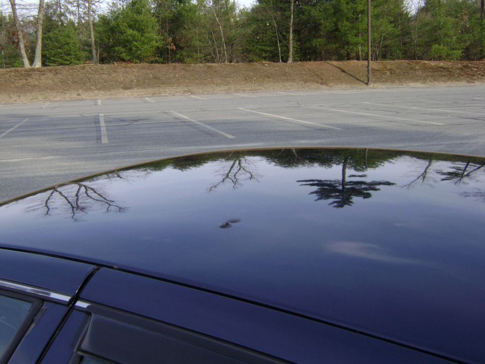 Dark blue car roof with reflections of trees and a parking lot