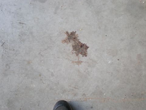 1993 Ford Bronco - A dark, irregular stain on a concrete surface, possibly oil or grease, with a portion of a shoe visible at the bottom edge.