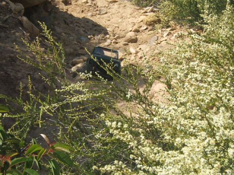 1988 Ford Bronco - A remote control rock crawler navigates a rocky, off-road path.