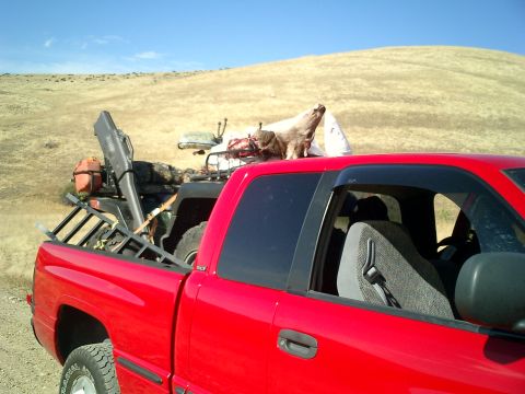 1999 Dodge 1500 photo