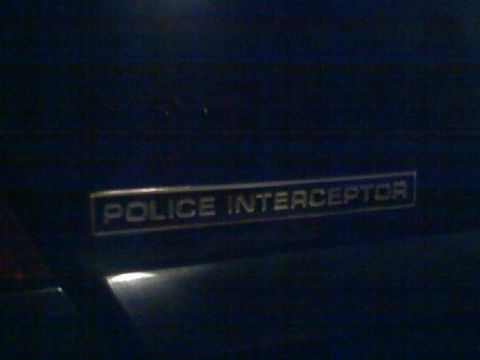 2001 Ford Crown Victoria photo