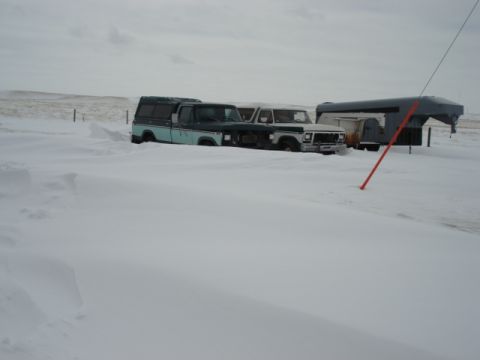 1979 Ford F-150 - Several vehicles are stuck in deep snowdrifts on a bleak winter day.