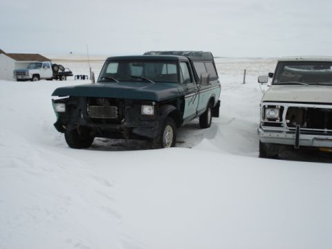 1979 Ford F-150 - Two pickup trucks, including a 1979 Ford F-150, sit partially buried in snow on a cloudy day.