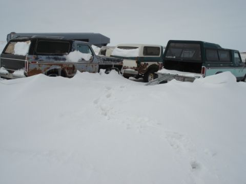 1979 Ford F-150 - Multiple weathered trucks sit abandoned in a snowy landscape, their bodies showing significant rust.