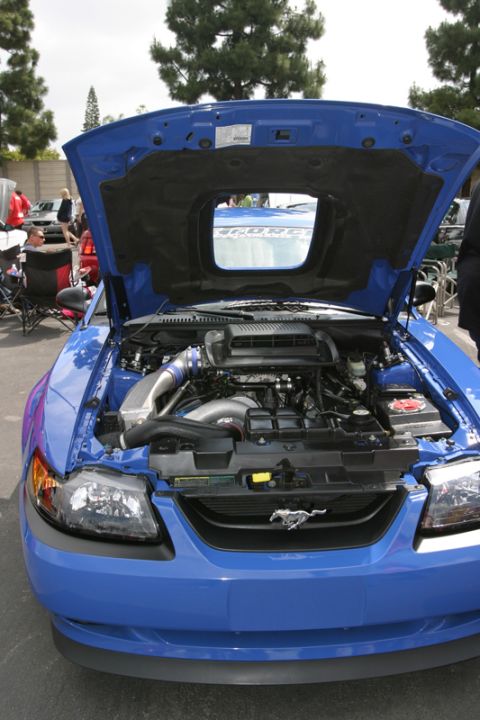 1992 Ford Crown Victoria - Front view of a blue Ford Mustang with its hood open, revealing the engine bay.