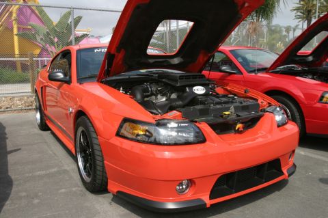 1992 Ford Crown Victoria - Two red Ford Mustangs are parked side-by-side with their hoods open at an outdoor car show.