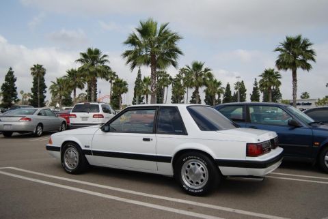 1992 Ford Crown Victoria - A white coupe with distinctive body lines and wheels is parked in a lot with palm trees.
