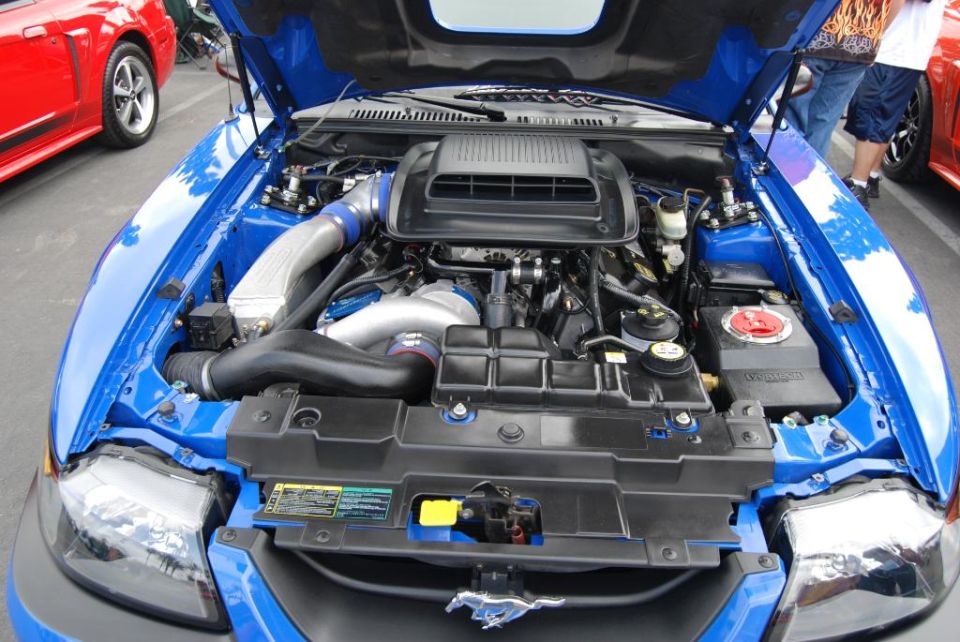 Blue Ford Mustang engine bay with aftermarket intake and intercooler. Red Mustang visible to the left