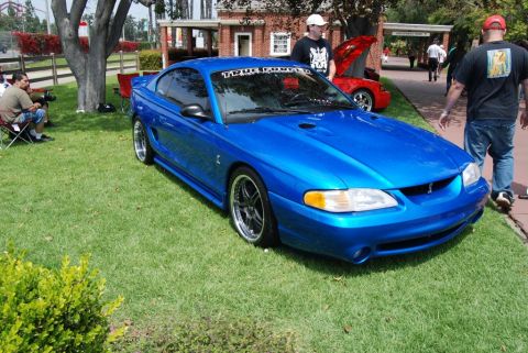 1992 Ford Crown Victoria - A bright blue 1996 Ford Mustang Cobra is parked on a grassy lawn, with a red car visible in the background.