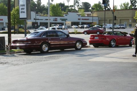 1992 Ford Crown Victoria - Two cars are parked in a lot with a dog on a leash nearby. A sign says 'Enjoy your drive.'