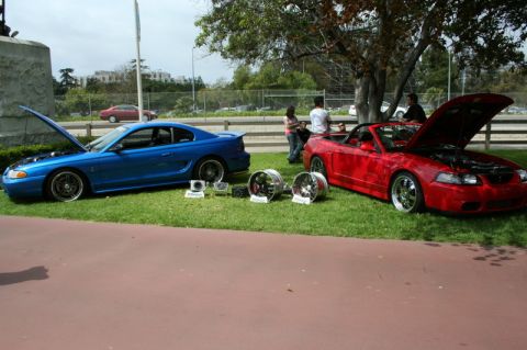 1992 Ford Crown Victoria - Two Ford Mustangs, a coupe and a convertible, are displayed with their hoods up and custom wheels nearby.