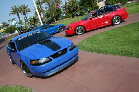 1992 Ford Crown Victoria - Three Mustangs are parked on a paved area with grass and palm trees in the background.