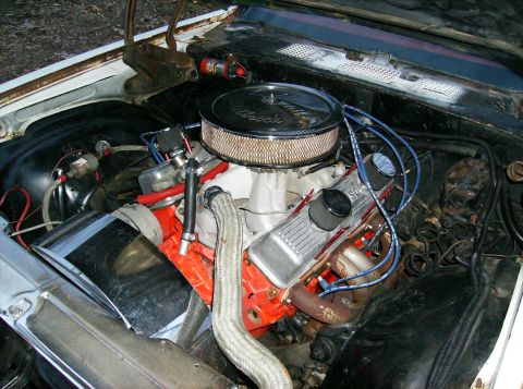 1995 Ford Probe - Close-up view of a V8 engine, showing the air intake, valve covers, and spark plug wires.