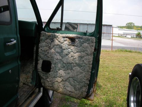 1978 Ford E250 - The interior door panel of a green van is covered in shag carpet, showing signs of wear and rust.