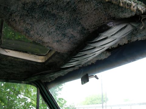 1978 Ford E250 - Interior shot of a van's ceiling, showing shag carpet and a padded panel, with a view through the side window.
