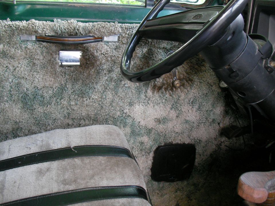 Interior of a van showing shag carpet on the door panel and dashboard, with a steering wheel and part of a seat visible