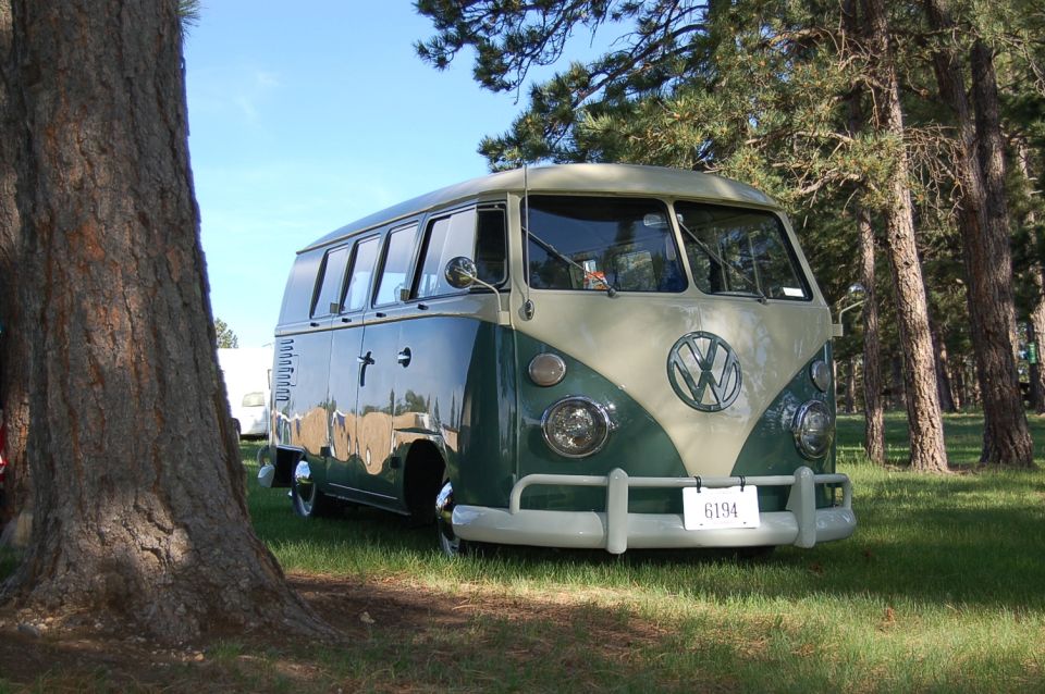 Two-tone green and cream VW split-window bus parked on grass among pine trees, front three-quarter view