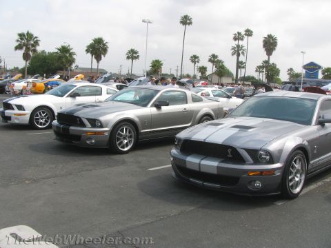 1968 Ford Mustang - A lineup of modern Ford Mustang Shelby GT500s, distinguished by their racing stripes and aggressive styling.